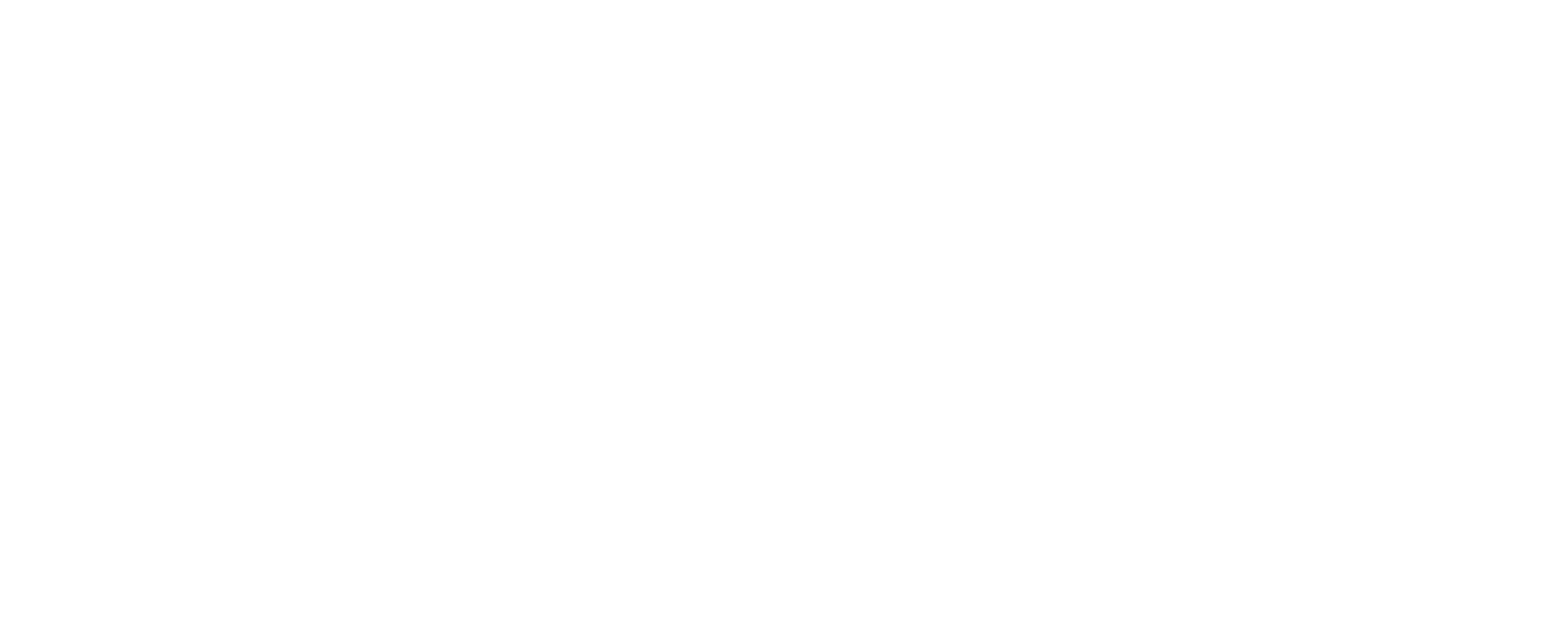 Certified Ethical Hacking Pro